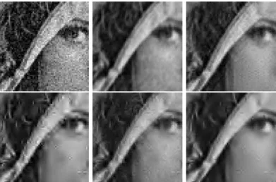 Fig. 3.2. Denoising experiment on a natural image. From left to right and from top to bottom: