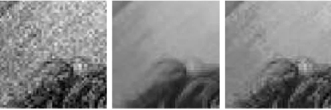 Fig. 5.7. Optimal correction experience. Left: Noisy image. Middle: NL-means solution.