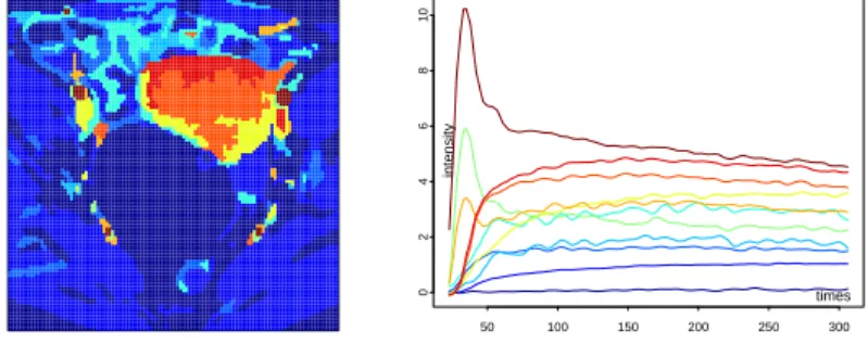 Figure 2: Synthetic DCE image sequence: (left) The ground-truth segmentation of X; (right) The true enhancement curves, i x (t), associated with the 11 clusters using corresponding colors.