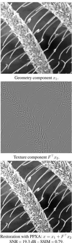 Fig. 2. Degraded image z: SNR = 15.7 dB – SSIM = 0.55.