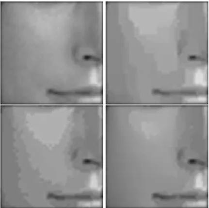 Figure 8: Comparison experiment. Top left: original image. Top right: Perona-Malik filtered image.