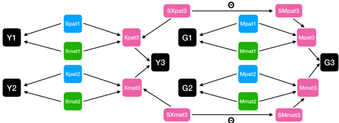 Figure 3: DAG of the variables commonly used in genetic linkage analysis in a simple trio with one father labeled 1, one mother labeled 2 and one child labeled 3