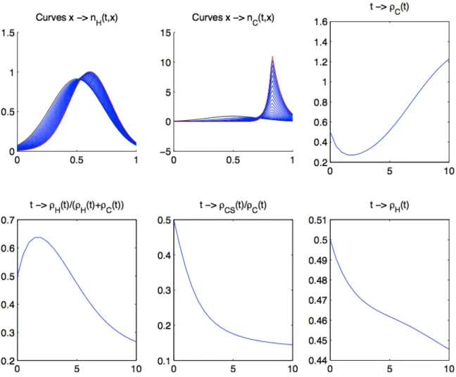 Figure 10: What should never be done (the deleterious therapy): Starting from a Gaussian-like distribution of the resistance phenotype on the whole interval for the two populations, exposed to constant and high dose delivery of the cytotoxic drug, one can 