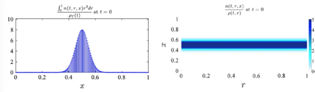 Figure 12: Initial distribution of the cell population and its representation in the ( r,x ) plane (phenotype x arbitrarily set to 0.5 to follow its trend under different conditions, see Figure 13).