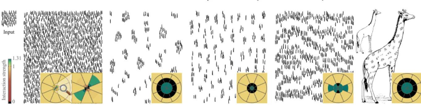 Figure 10: Model-Based Texture Editing. From left to right: original texture, output texture without editing, three different textures obtained through parameter editing, a fourth example of edited texture applied on a giraffe (after rotation)