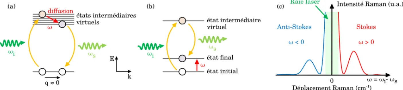 Figure 2.2  Processus de diusion inélastique (a) créant un phonon, (b) créant une paire électron-trou proche du niveau de Fermi