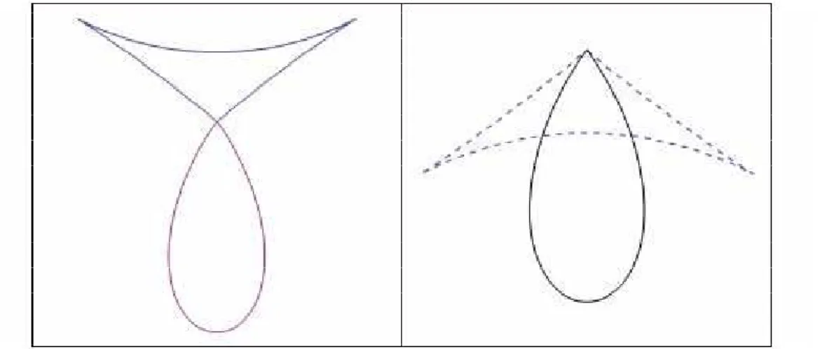 Figure 7. Generatrices of revolution hedgehogs with the same curvature We can assume that S admits a parametrization of the form
