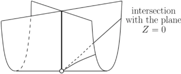 Figure 1: The image of the Whitney Umbrella singularity and its intersection with a transver- transver-sal plane.