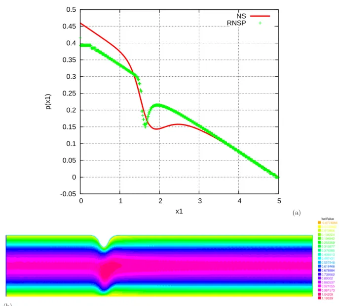 Fig. 6. Fluid flow in a constricted pipe. Geometry 2. Simulations with RNS/P equations and P 2 / P 1 / P 0 elements.