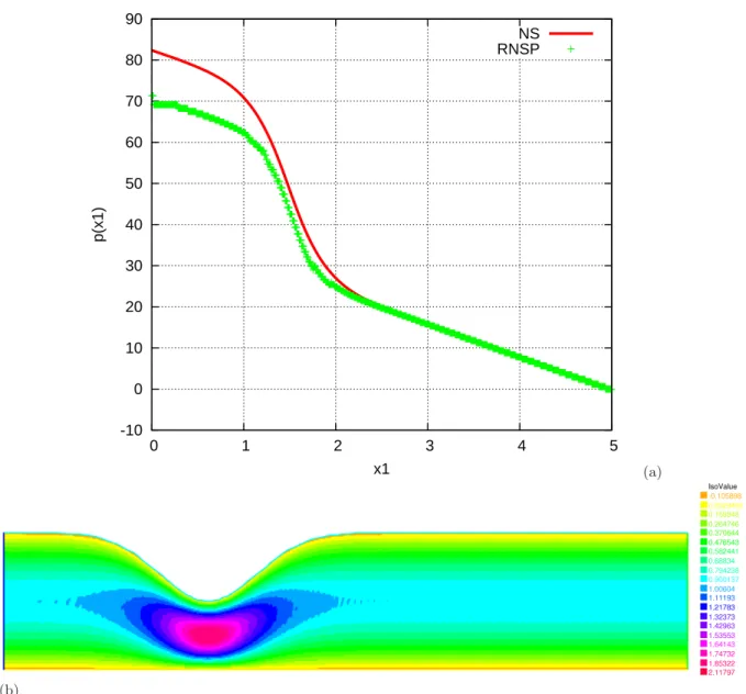 Fig. 7. Fluid flow in a constricted pipe. Geometry 3. Simulations with RNS/P equations and P 2 / P 1 / P 0 elements.