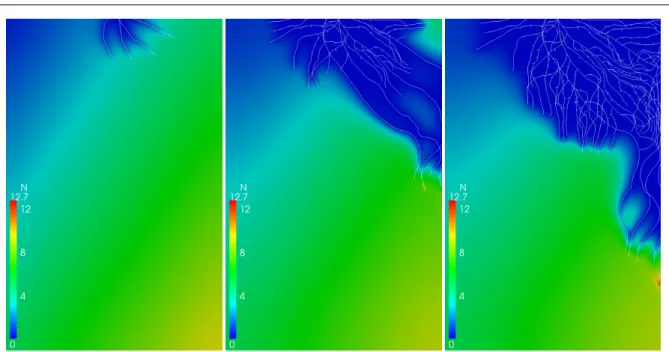 Fig. 7 2D simulation example with root growth and chemotropism: snapshots of nitrate concentration at different time steps