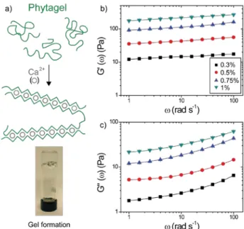 Figure 3: a) Schematic illustration of the gel formation for linear polysaccharide chains in presence of  divalent calcium ions