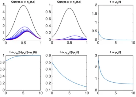 Figure 1: Simulation with u 1 (t) = Cst = 3.5 and u 2 (t) = Cst = 2, in time T = 10. At the top, left and middle: evolution in time of the curves x 7→ n H (t, x) and x 7→ n C (t, x), with the initial conditions in black, and the final ones in red