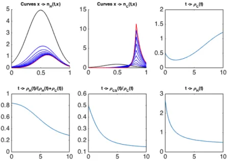 Figure 3: Simulation with u 1 (t) = Cst = 3.5 and u 2 (t) = Cst = 2, in time T = 10, with the new function µ C .