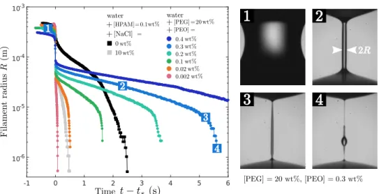 Figure 5. Left: minimum filament radius R as a function of time t − t s (where t s marks the abrupt transition to a cylindrical filament shape) for PEO solutions with 20 wt% PEG solvent and for HPAM solutions at T = 20 ◦ C
