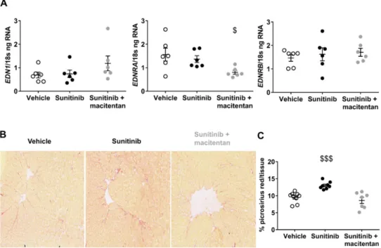 Figure 6. Protective effects of macitentan involve ET receptors: (A) ng of ET-1, ET A  and ET B  receptor mRNA reported on ng of 18s RNA in the myocardium (n=6 for  each)