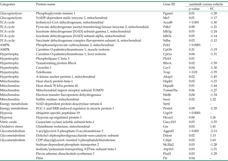 Table 1. Major changes in protein expression levels of the myocardium after one week of treatment 