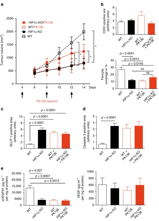 Fig. 5 NK cell depletion recapitulates the HIF-1 α KO phenotype. a Tumour volume analysis of MC38 isografts implanted in WT and HIF-1 α KO mice injected i.p
