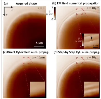 Fig. 3. Numerical defocusing on phantom (polystyrene bead). (a) Experimental quantitative phase image of a 5 µm polystyrene bead in immersion oil with ∆n polys./oil = 0.07.