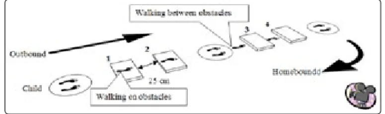 Figure 1: Walkway in control condition with verbal instructions  (CCVI), immediate imitation in the same walkway (IISW), lagged  imitation (LI) and deferred imitation (DI)