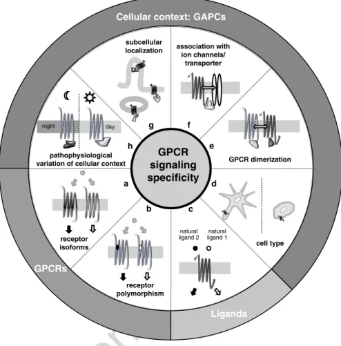 Fig. 12.1  Schematic illustration of different means to generate GPCR signaling speciﬁcity