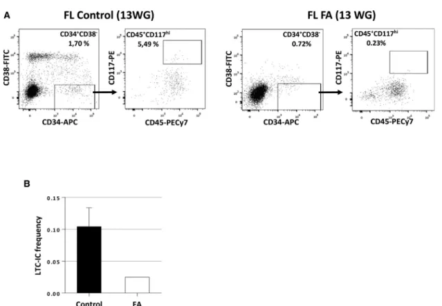 Figure 4. Induced DNA Damage in E12.5 and E14.5 Fancg  /  HCs and HSCs without Apoptosis or Cell-Cycle Changes