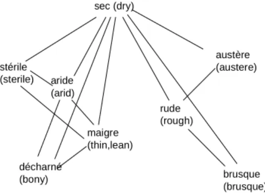 Fig. 2. An excerpt of the graph of synonymy of sec 