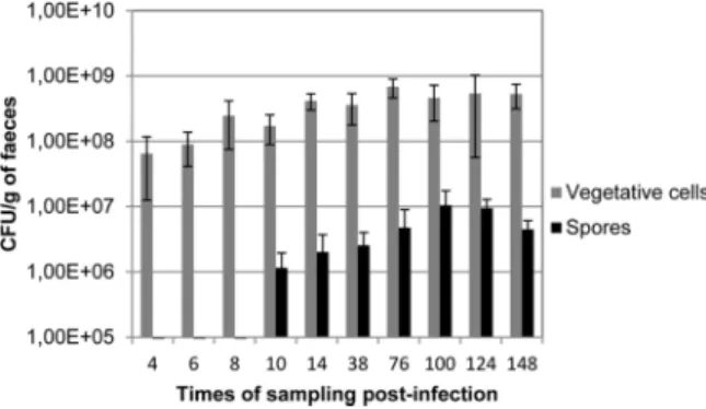 Fig 4. Kinetics of sporulation rate in C . difficile associated mice. Mice were orally challenged with 1x10 8 CFUs of vegetative cells