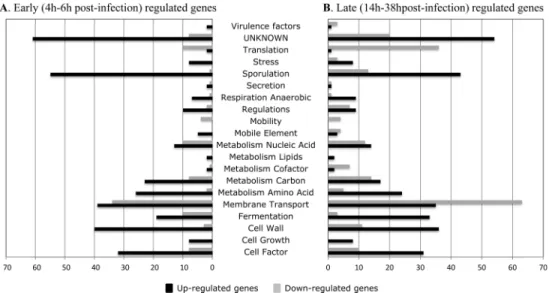 Fig 1. Functional clusters of in vivo differentially expressed genes (p-value < 0.05) in the C 