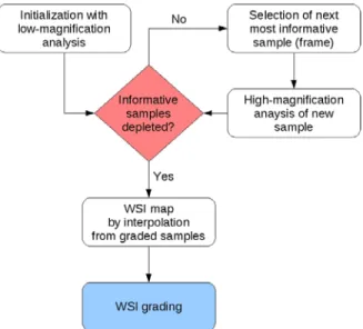 Figure 7: Multi-Scale Dynamic Sampling ﬂowchart.