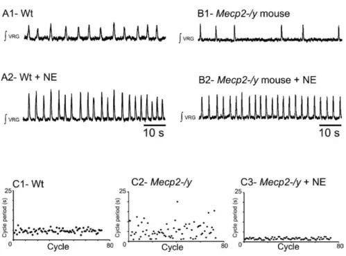Table 1. Mecp2 deficiency alters NE systems in the medulla