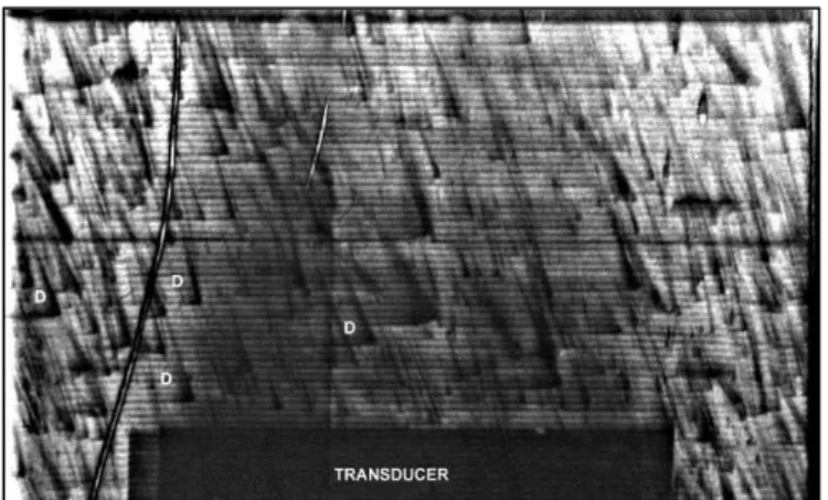 Figure 11.   Reflection topograph of the SAW propagating on ST-cut quartz  (large delay line operating at F=11.361376 MHz)