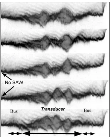 Figure 21.   Successive sections topographs taken in the emitting track of a filter  submitted to a large electrical excitation