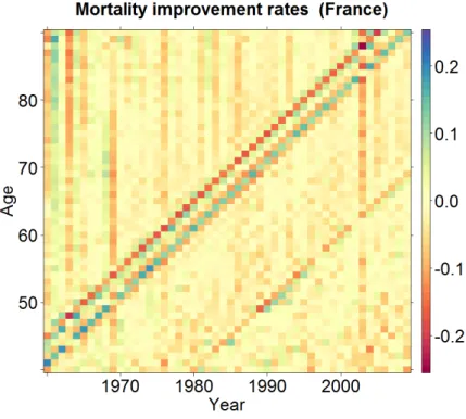 Figure 4: Period death rates for France for year 1960 to 2010 and ages from 40 to 90