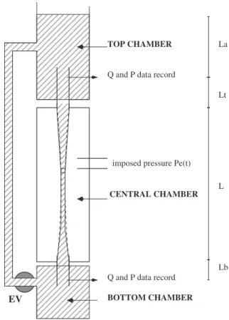 Fig. 1. Scheme of the experimental setup composed of three chambers: upper, central and bottom