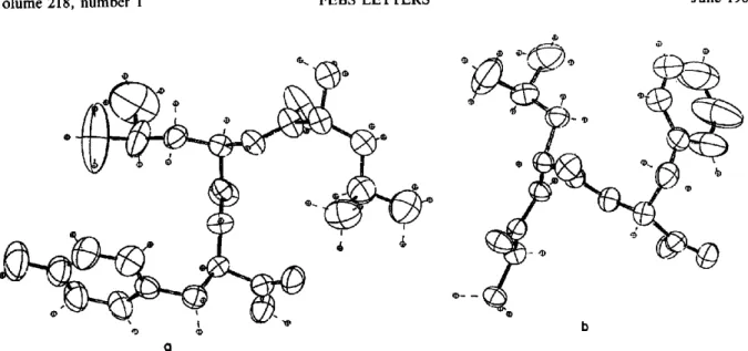 Fig. 1.  Conformation of Leu-Leu-Tyr (a) and  Gly-Leu-Phe (b) tripeptides.  Molecular conformations are  seen along the  c  axis