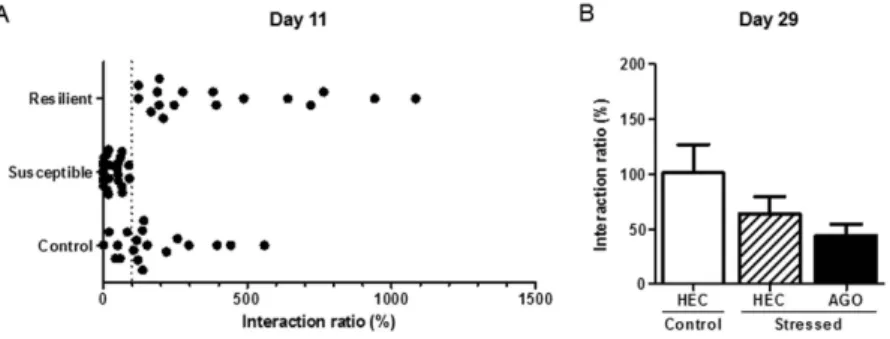 Figure 2.  Effect of chronic social defeat stress and chronic agomelatine (50 mg/kg/day i.p.) on social  interaction in the social avoidance test