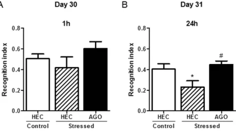 Figure 4.  Long-lasting effect of chronic social defeat stress and chronic agomelatine (50 mg/kg/day i.p.)  on episodic memory in the novel object recognition test