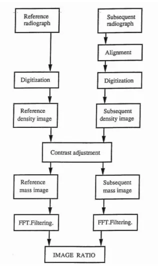 Fig. 1. Flowchart of the digital image ratio method (DIR). 
