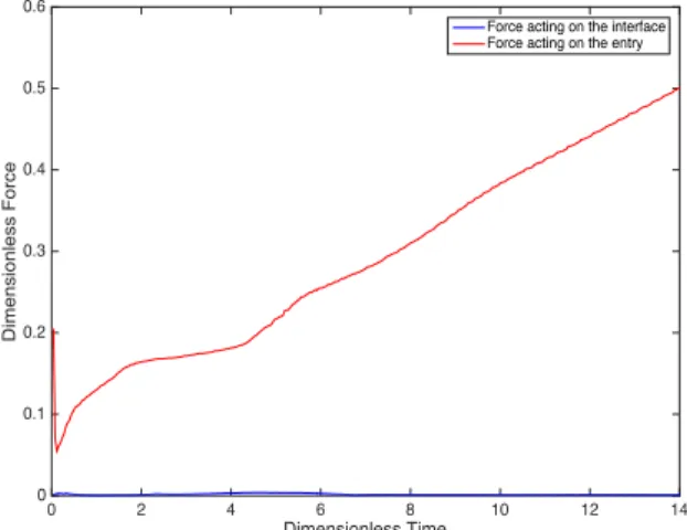 Figure 20. Variation of the force acting on the interface and the force acting on the entry with time.