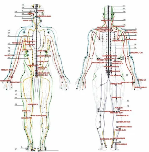 Figure 2: Meridians and acupuncture points in traditional Chinese medicine. / (Im- (Im-age modified from KVDP, 2010