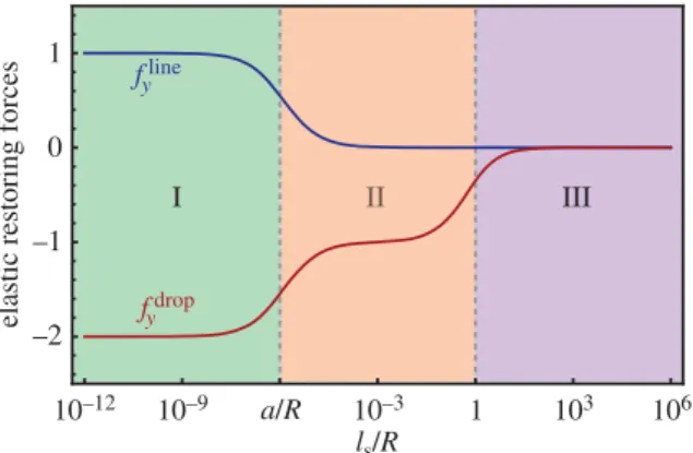 Figure 7. Total elastic force under the contact line ( f y line ) and under the rivulet ( f y drop ) as a function of the dimensionless parameter l s /R 