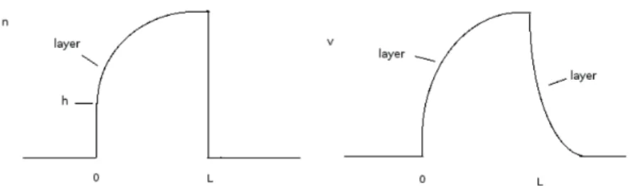 Figure 2. Qualitative representation of traveling plateau solutions of (3.2). Left: the swarmer density n, where h = 1 − c ′ σ (0) is the height of the jump on the left side of the front