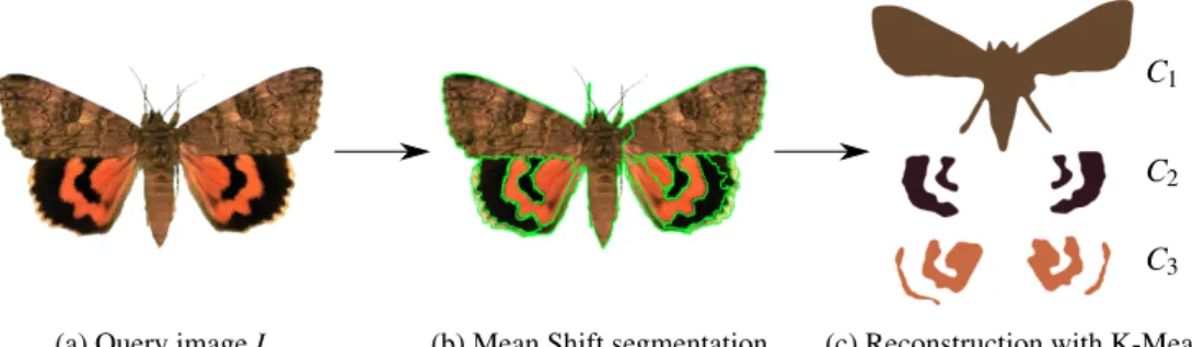 Figure 2: Illustration of the color image decomposition into structural layers.