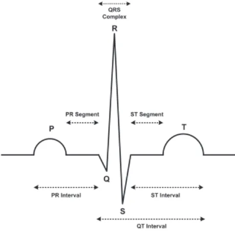 Fig. 2. A typical one-cycle ECG (Heartbeat)