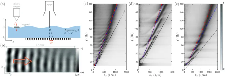FIG. 1. (a) Sketch of the experimental setup using SSI [19]. (b) Height field obtained for f = 40 Hz in a gel with µ = 95 Pa and h = 1.1 ± 0.1 cm