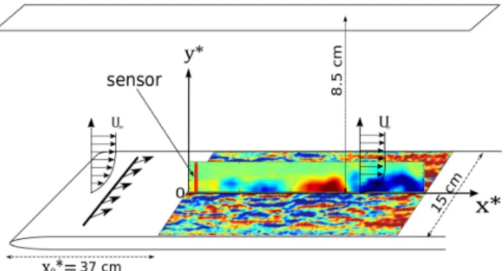 FIG. 3. Flat plate geometry dimensions, perturbation slot and PIV window position.