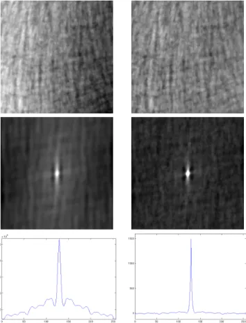 Fig. 2. Top left: the original texture image u (some wall ren- ren-dering). Top right: a sample of the phase randomization  per-formed on u