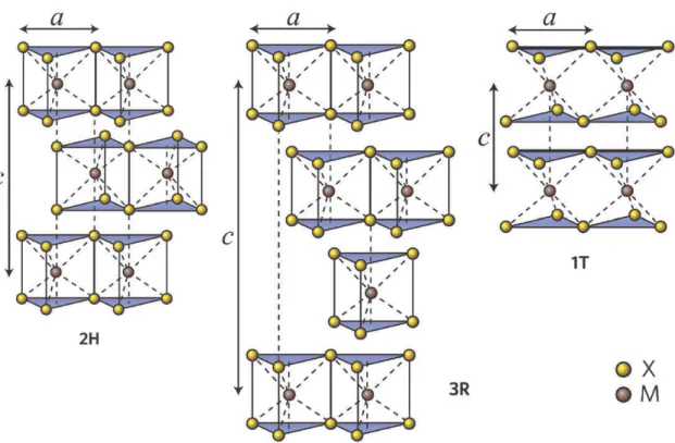 Figure 3.4 – Représentation structurale des différents polytypes possibles pour une même composition chimique MX 2 (où M est un métal de transition et X un chalcogène) [Zhang et al., 2015].