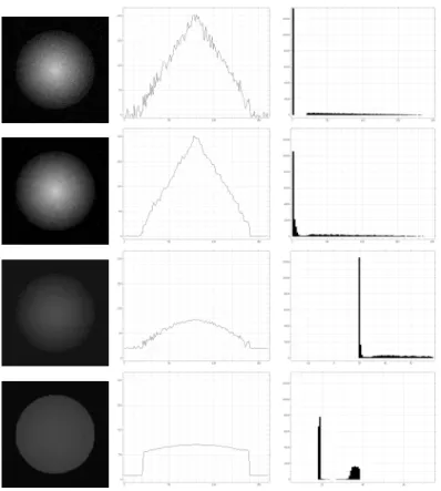 Figure 4.2. Experiment on a 2D image. From top to bottom: original image, iterative application of a Gaussian mean, iterative application of a median filter, proposed method with linear sigma filter weights and proposed method with linear NL-means weights